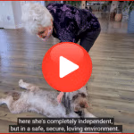 Savannah Quarters Testimonials Thumbnail