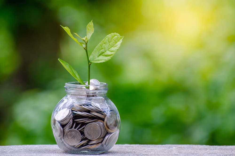 A Guide To Understanding Fixed Income Funds